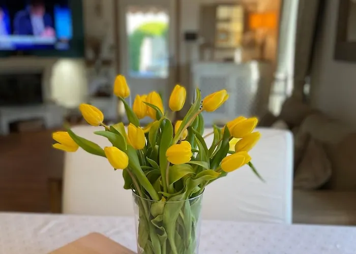 Magnifique 8 Personnes Piscine 15 Min A Pied *